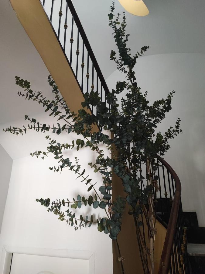 נובלדה Apartamento Albarino 23 מראה חיצוני תמונה